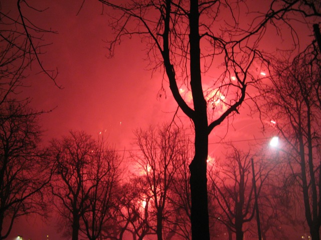 © Renate Egger. Feuerwerk/Fireworks. Vienna, Austria 2010