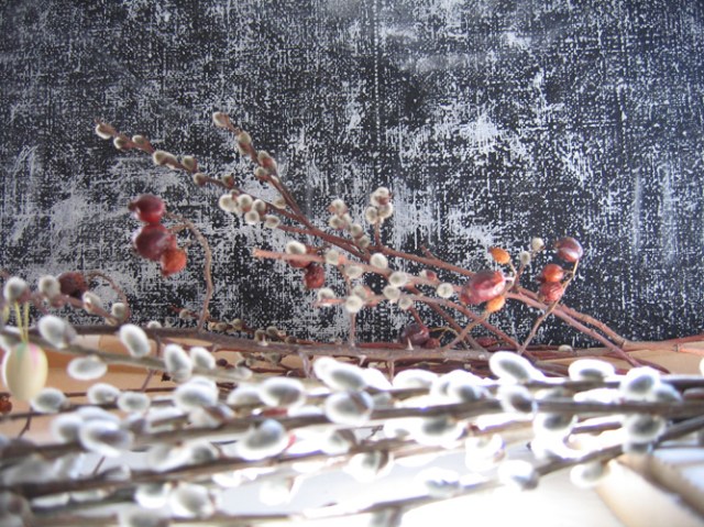 © Renate Egger. Herbarium "Palmkätzchen, Hagebutte"/Herbarium " catkin, rose-hip", 2008. Installation, photography.