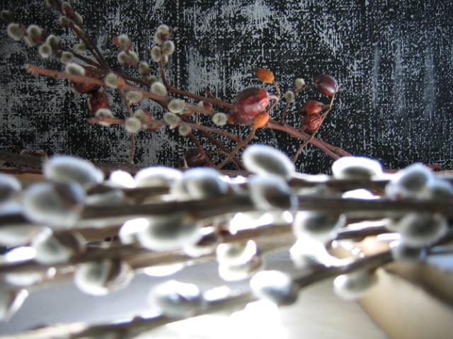 © Renate Egger. Herbarium "Palmkätzchen, Hagebutte"/Herbarium " catkin, rose-hip", 2008. Installation, photography.