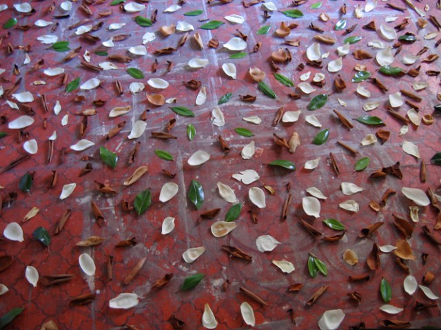 © Renate Egger. Herbarium Magnolia. Installation. Artfarm Pilastro. Pilastro di Bonavigo, Verona, Italy, 2006