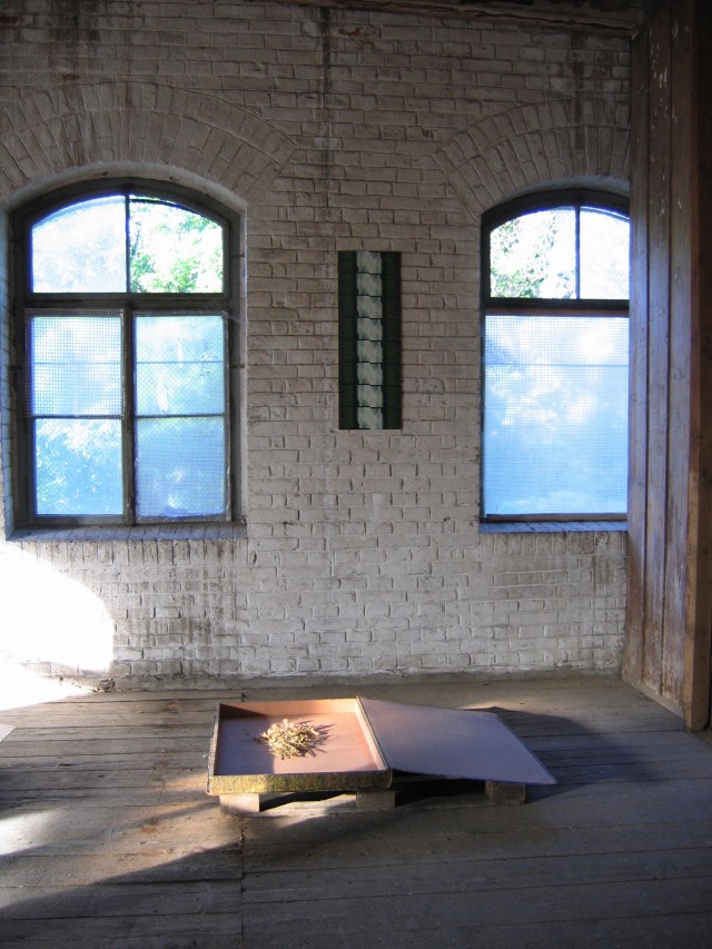 © Renate Egger. Herbarium. Installation. Fotokomposition Landschaft I-IV (1989/93, 1994), getrocknete Wiesenblumen (1995-2005), Kassetten von der kartographischen Sammlung der Österreichischen Nationalbibliothek / Herbarium. Installation. Photo-composition landscape I-IV (1989/93, 1994), dried meadow-flowers (1995-2005), boxes from the cartographic collection of the Austrian Nationallibrary. Facts & Visions, Austria 2005  