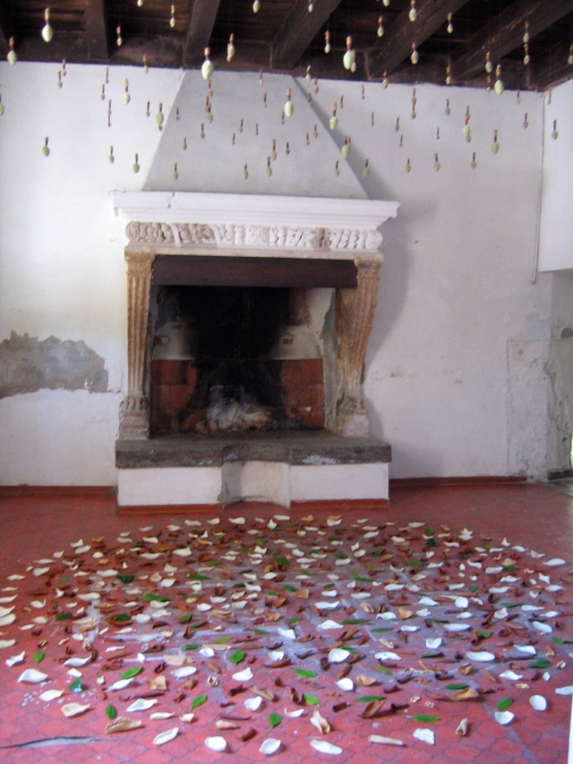 © Renate Egger. Herbarium Magnolia. Installation. Artfarm Pilastro. Pilastro di Bonavigo, Verona, Italy, 2006