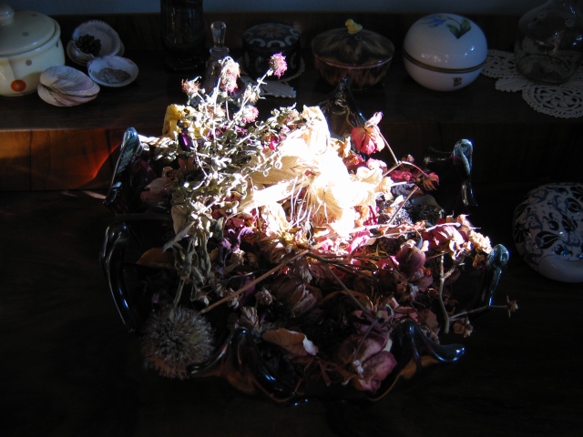 Renate Egger. Herbarium Blumen/Herbarium flowers, 2006. Installation, Fotografie/Installation, photography
