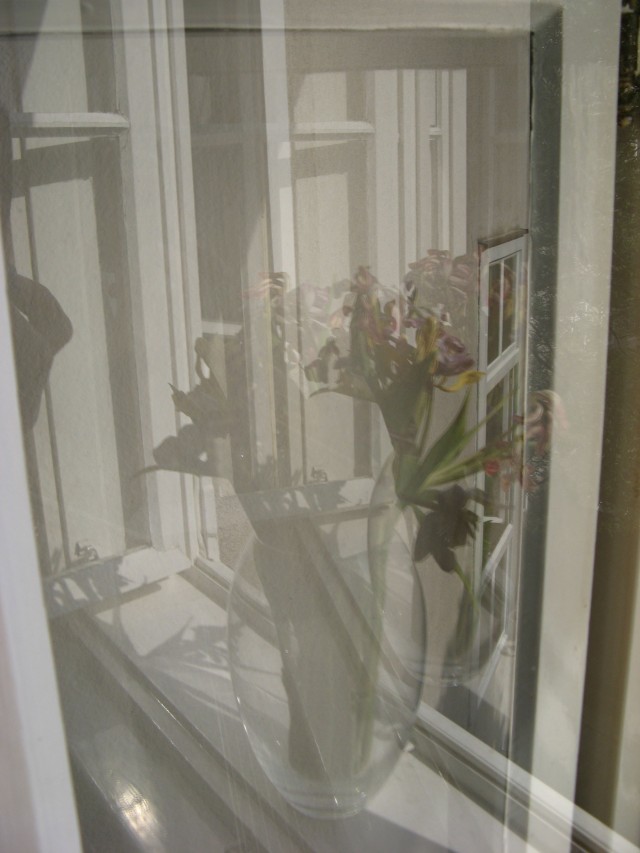 © Renate Egger. Spiegelung. Tulpen/Reflection. Tulips. 2011. Installation, Fotografie/Installation, photography