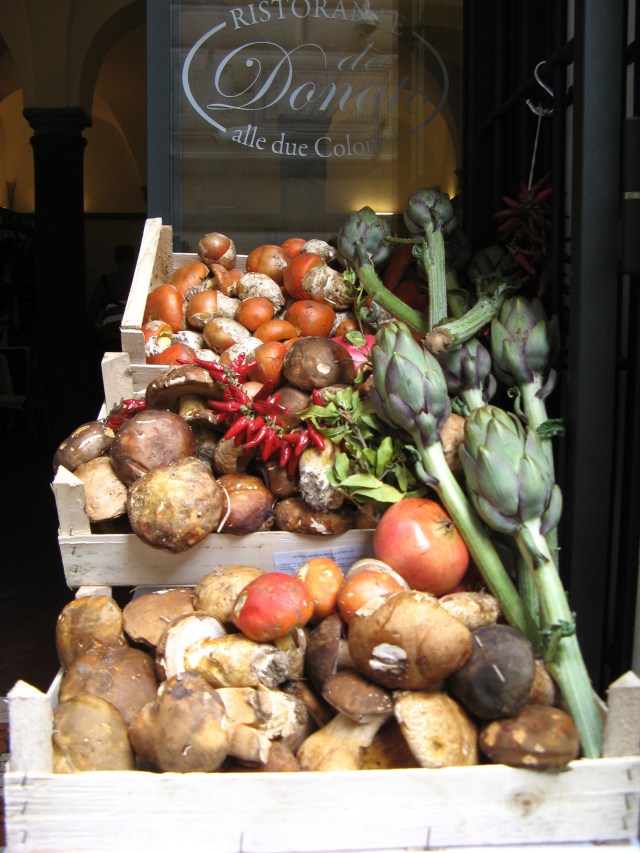 © Renate Egger. Kaiserling/Amanita caesarea/Caesar`s Mushroom. Artist in Residence. Rome, Italy 2011 