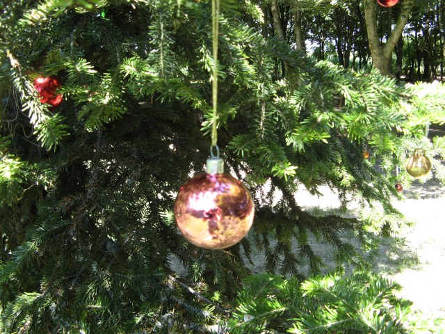 © Renate Egger. Weihnachtsbaum/Christmas tree, 2011. Installation, Weihnachtskugeln, Baum, Fotografie, Video/Installation, christmas balls,  tree, photography, video. M`Illumino D`Immenso. Artfarm Pilastro. Pilastro di Bonavigo, Verona, Italy 