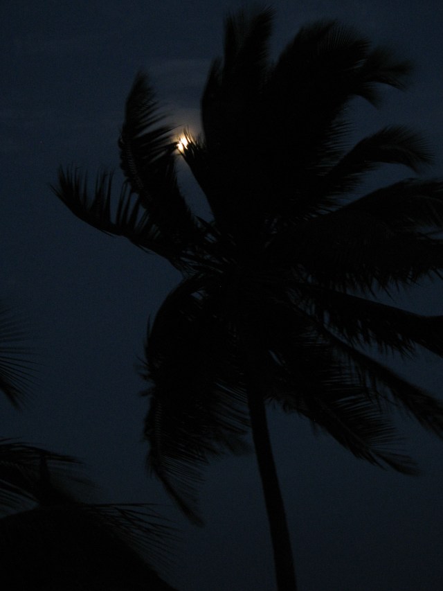 © Renate Egger. Indian Ocean. Jambiani, Zanzibar, Tanzania, Africa 2011