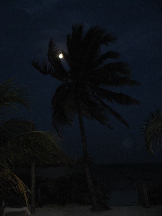 © Renate Egger. Indian Ocean. Jambiani, Zanzibar, Tanzania, Africa 2011