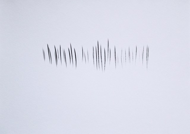 © Renate Egger. Strukturen/Structures II, 2011. Chinesische Tusche auf Papier/Chinese ink on paper, 24x34 cm