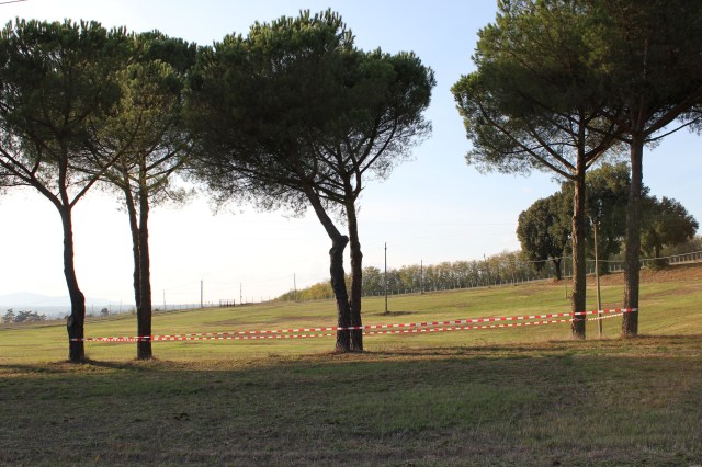 © Renate Egger. Paradies/Paradise/Paradiso. Installation. Bäume, Absperrband/Trees, barrier tape. Artist in Residence. Domus Artium. Azienda Colonna. Cervinara, Paliano, Italy, 