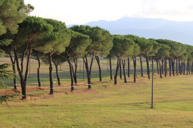 © Renate Egger. Paradies/Paradise/Paradiso. Installation. Bäume, Absperrband/Trees, barrier tape. Artist in Residence. Domus Artium. Azienda Agricola Colonna. Cervinara, Paliano, Italy, 2011