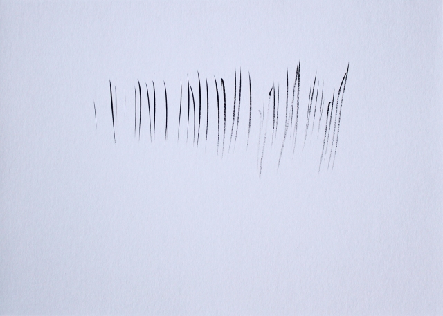 © Renate Egger. Struktur/Structure III, 2011. Chinesische Tusche auf Papier/Chinese ink on paper, 24x34 cm