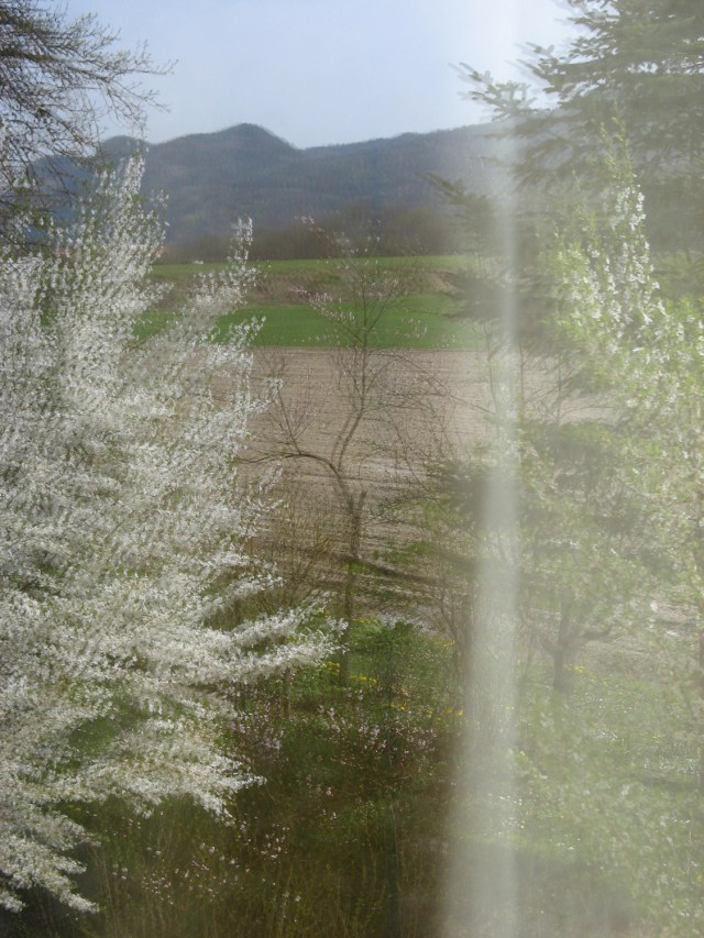 © Renate Egger. Spiegelung/Reflection. Frühling/Spring, 2014 