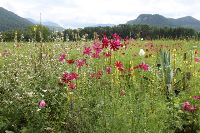 © Renate Egger. Landschaft/Landscape, 2014. Kärnten/Carinthia, Austria