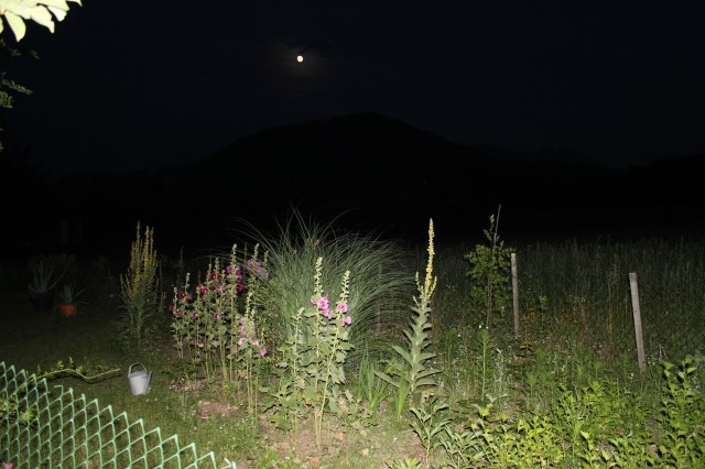 © Renate Egger. Landschaft/Landscape, 2015. Kärnten/Carinthia, Austria