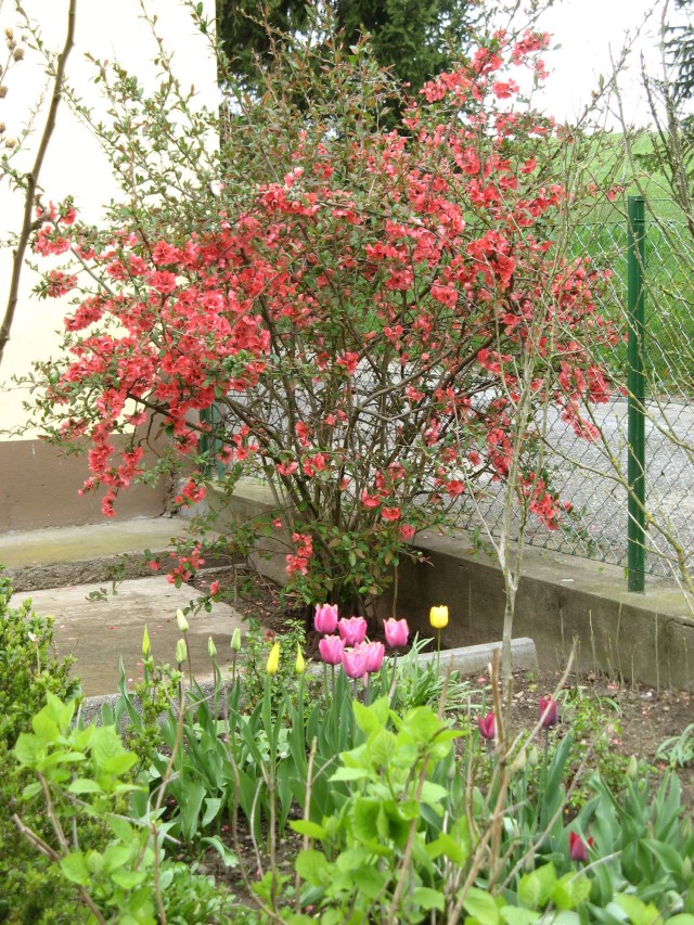 © Renate Egger. Frühling/Spring, 2015