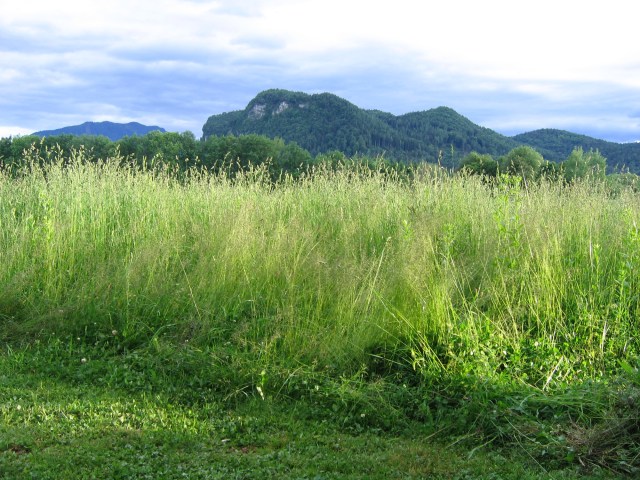© Renate Egger. Landschaft/Landscape, 2006